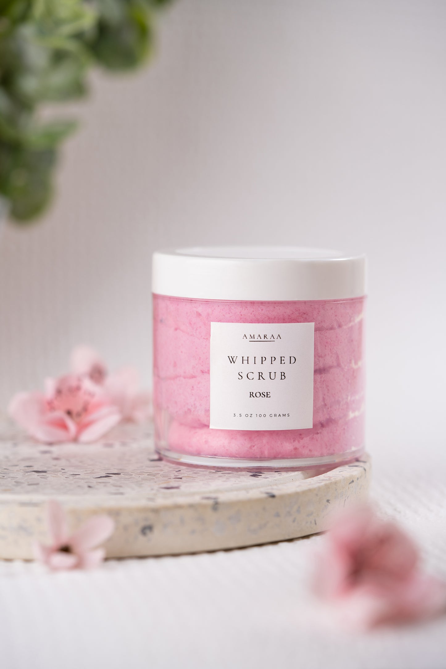 Whipped Scrub-Rose